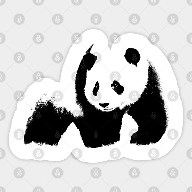 Panda pop art Sticker by phatvo